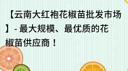 【云南大红袍花椒苗批发市场】- 最大规模、最优质的花椒苗供应商！