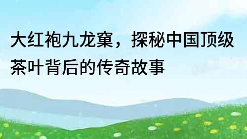 大红袍九龙窠，探秘中国顶级茶叶背后的传奇故事