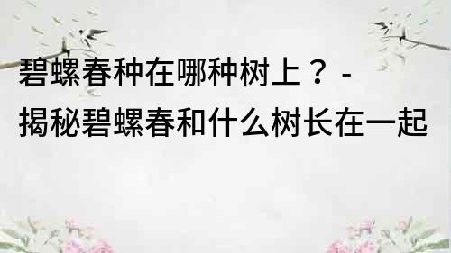 碧螺春种在哪种树上？ - 揭秘碧螺春和什么树长在一起