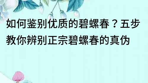 如何鉴别优质的碧螺春？五步教你辨别正宗碧螺春的真伪