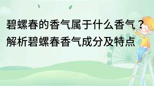 碧螺春的香气属于什么香气？解析碧螺春香气成分及特点