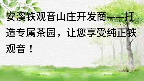 安溪铁观音山庄开发商——打造专属茶园，让您享受纯正铁观音！