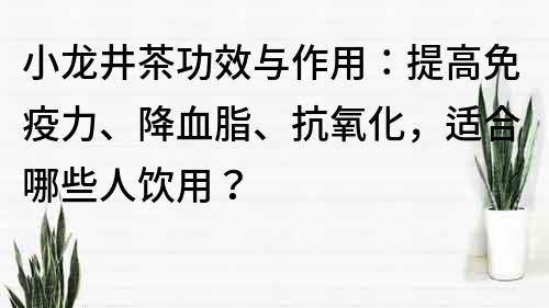 小龙井茶功效与作用：提高免疫力、降血脂、抗氧化，适合哪些人饮用？