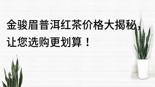 金骏眉普洱红茶价格大揭秘，让您选购更划算！