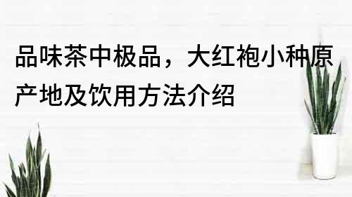 品味茶中极品，大红袍小种原产地及饮用方法介绍