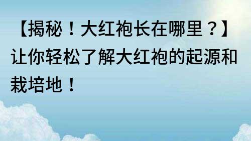 【揭秘！大红袍长在哪里？】让你轻松了解大红袍的起源和栽培地！