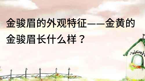 金骏眉的外观特征——金黄的金骏眉长什么样？