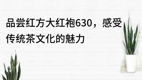 品尝红方大红袍630，感受传统茶文化的魅力