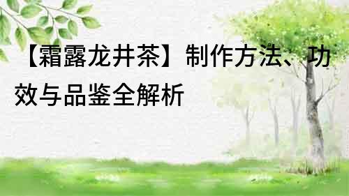 【霜露龙井茶】制作方法、功效与品鉴全解析