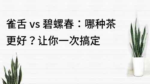 雀舌 vs 碧螺春：哪种茶更好？让你一次搞定