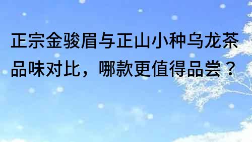 正宗金骏眉与正山小种乌龙茶品味对比，哪款更值得品尝？