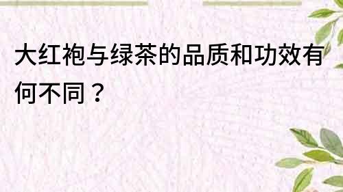 大红袍与绿茶的品质和功效有何不同？