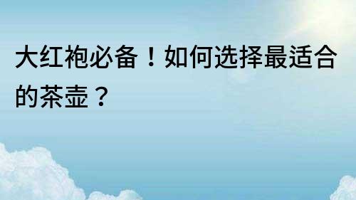 大红袍必备！如何选择最适合的茶壶？