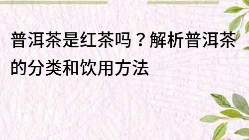 普洱茶是红茶吗？解析普洱茶的分类和饮用方法