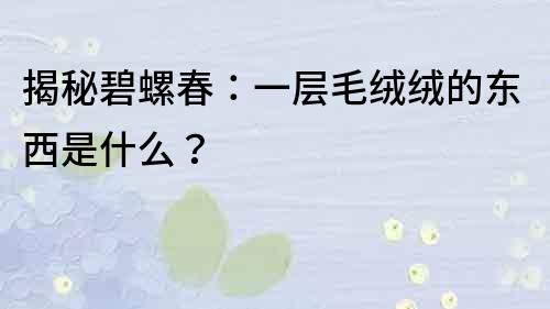 揭秘碧螺春：一层毛绒绒的东西是什么？