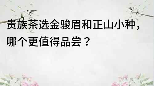 贵族茶选金骏眉和正山小种，哪个更值得品尝？