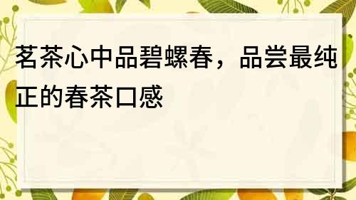 茗茶心中品碧螺春，品尝最纯正的春茶口感