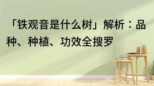 「铁观音是什么树」解析：品种、种植、功效全搜罗