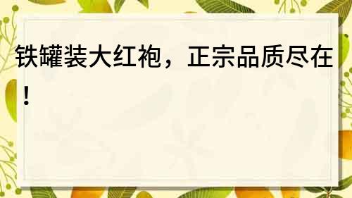 铁罐装大红袍，正宗品质尽在！