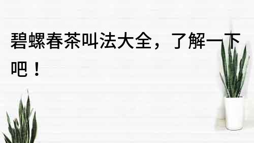 碧螺春茶叫法大全，了解一下吧！