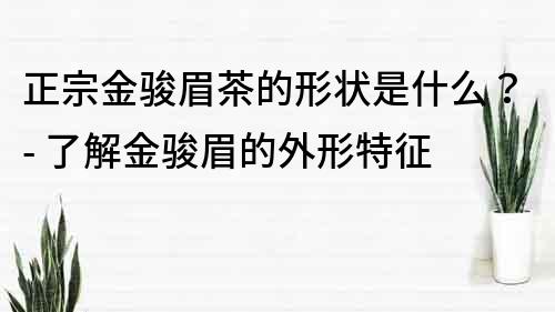 正宗金骏眉茶的形状是什么？- 了解金骏眉的外形特征