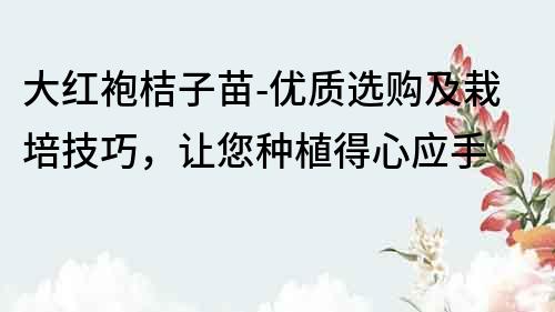 大红袍桔子苗-优质选购及栽培技巧，让您种植得心应手