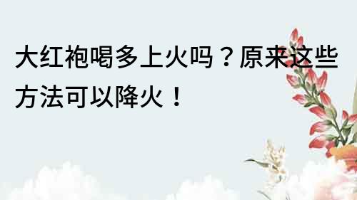 大红袍喝多上火吗？原来这些方法可以降火！