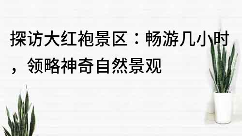 探访大红袍景区：畅游几小时，领略神奇自然景观