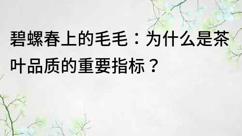 碧螺春上的毛毛：为什么是茶叶品质的重要指标？