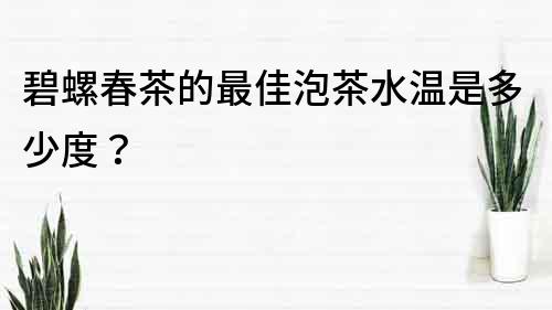 碧螺春茶的最佳泡茶水温是多少度？