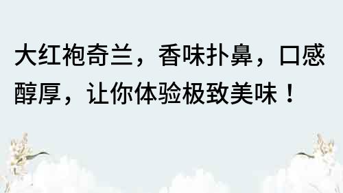 大红袍奇兰，香味扑鼻，口感醇厚，让你体验极致美味！