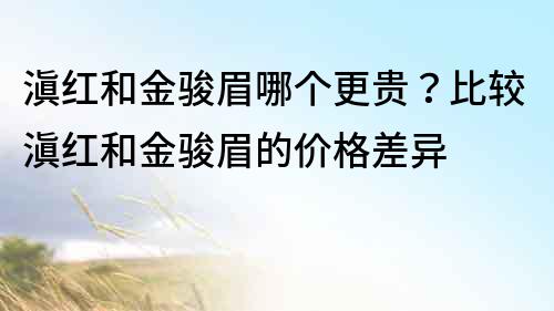 滇红和金骏眉哪个更贵？比较滇红和金骏眉的价格差异