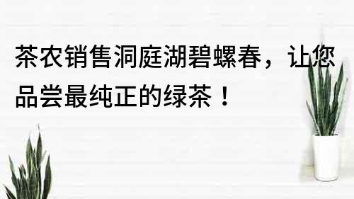 茶农销售洞庭湖碧螺春，让您品尝最纯正的绿茶！