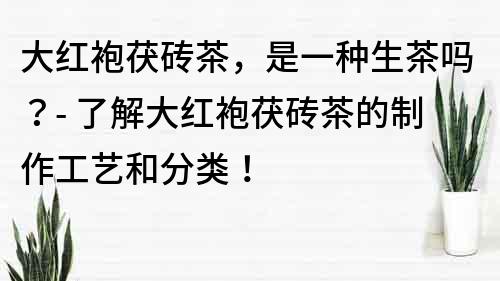 大红袍茯砖茶，是一种生茶吗？- 了解大红袍茯砖茶的制作工艺和分类！