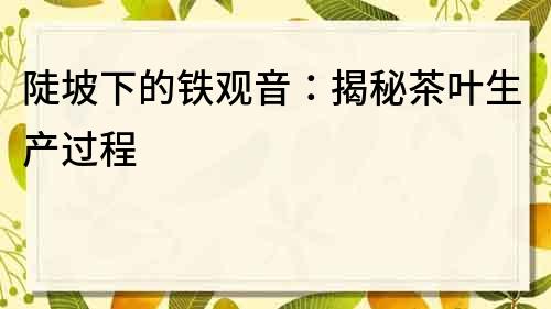 陡坡下的铁观音：揭秘茶叶生产过程