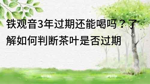 铁观音3年过期还能喝吗？了解如何判断茶叶是否过期