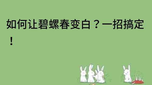 如何让碧螺春变白？一招搞定！