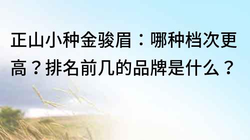 正山小种金骏眉：哪种档次更高？排名前几的品牌是什么？