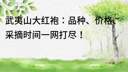 武夷山大红袍：品种、价格、采摘时间一网打尽！