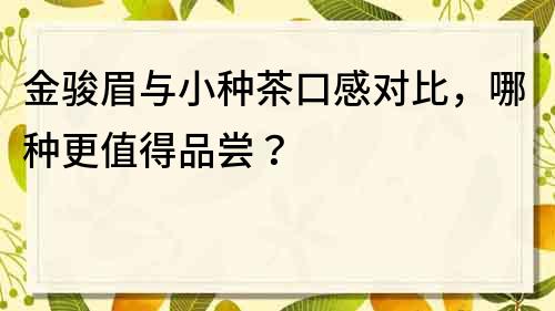 金骏眉与小种茶口感对比，哪种更值得品尝？