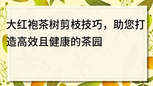 大红袍茶树剪枝技巧，助您打造高效且健康的茶园