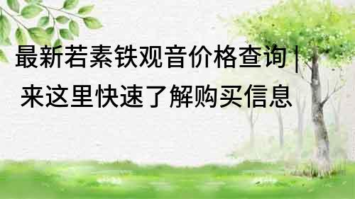 最新若素铁观音价格查询 | 来这里快速了解购买信息