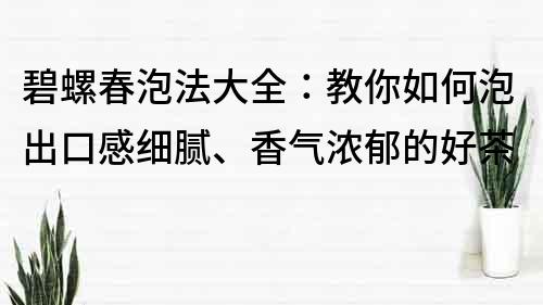 碧螺春泡法大全：教你如何泡出口感细腻、香气浓郁的好茶