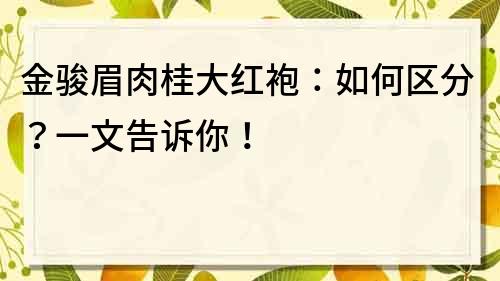 金骏眉肉桂大红袍：如何区分？一文告诉你！