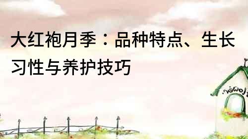 大红袍月季：品种特点、生长习性与养护技巧