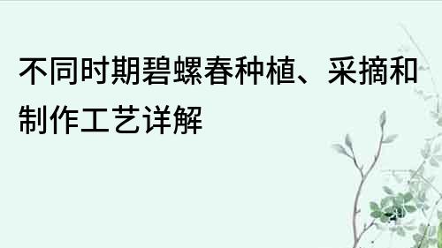 不同时期碧螺春种植、采摘和制作工艺详解