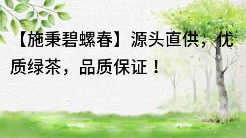 【施秉碧螺春】源头直供，优质绿茶，品质保证！