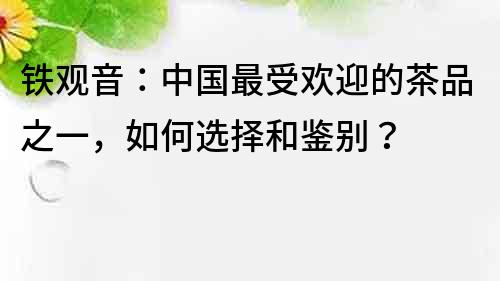 铁观音：中国最受欢迎的茶品之一，如何选择和鉴别？