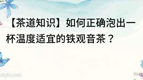 【茶道知识】如何正确泡出一杯温度适宜的铁观音茶？