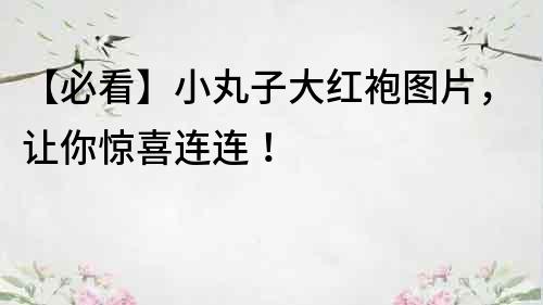 【必看】小丸子大红袍图片，让你惊喜连连！